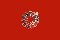 清远市清新区回收红酒